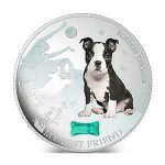 Колекційна срібна монета "Мій найкращий друг - Бостон тер'ер" 31,1 г 2014 рік