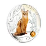 Колекційна срібна монета "Пухнастий кіт - Сомалійський" 31,1 г 2013 рік - Зображення 3