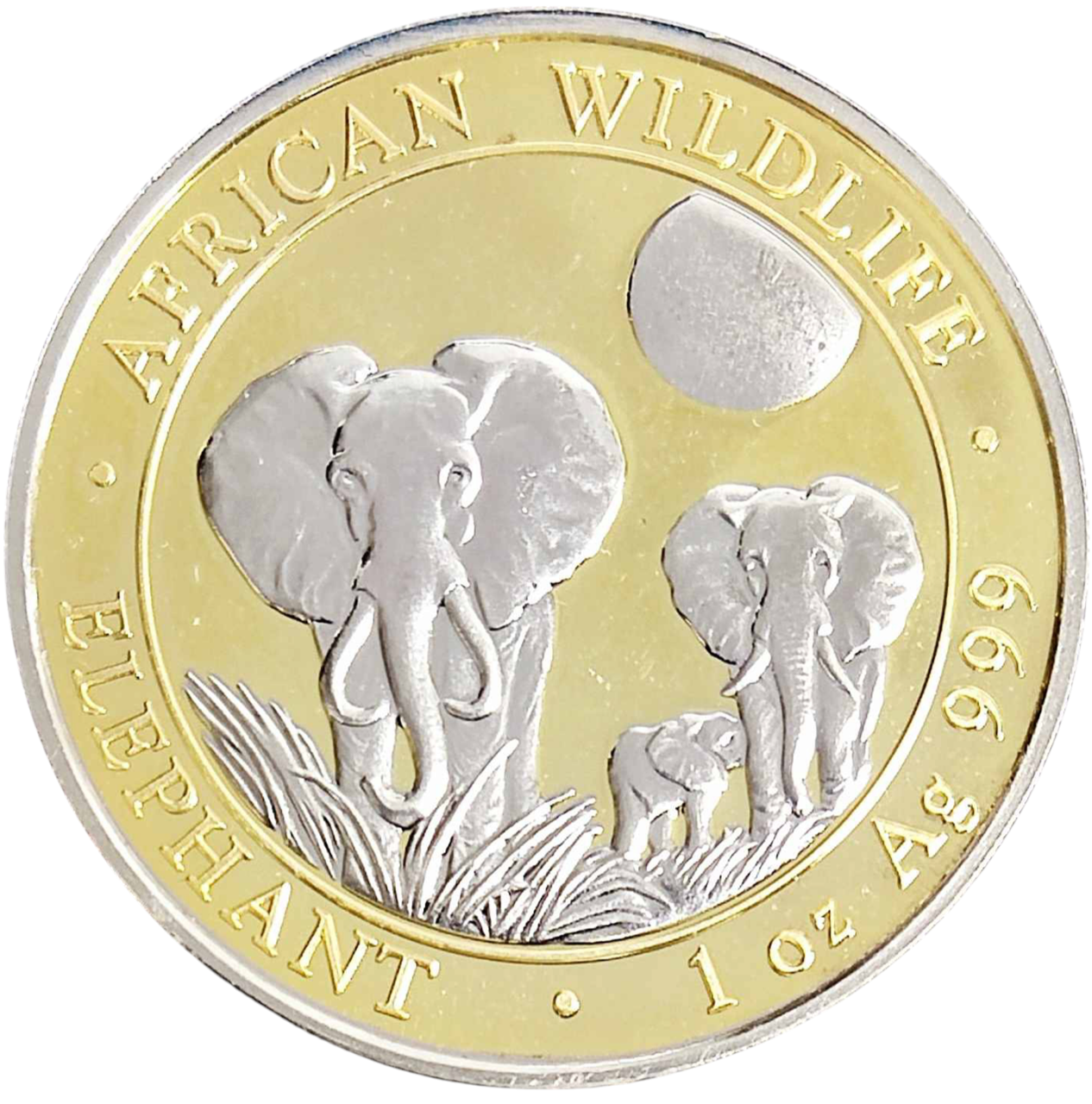0027647_serebrna-moneta-slon-seri-afrikanska-dika-priroda-gilded-311-gramm-2014-god Колекційна срібна монета "Африканська Дика Природа - Слон GILDED" 31,1 г 2014 рік - Зображення 1