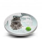 Колекційна срібна монета "Пухнастий кіт - Норвезький лісовий" 31,1 г 2014 рік - Зображення 3