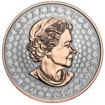 Коллекционная серебряная монета «Кленовый Лист» GILDED 31,1 г 2022 год — изображение 3