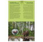 Колекційна монета “Чорнобиль. Відродження. Ведмідь бурий” - Зображення 4