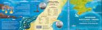 Колекційний набір монет “Мешканці морських глибин” #555 - Зображення 4
