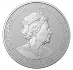 Колекційна срібна монета “Redback Spider - Червоноспинний павук” 31,1 г 2020 рік - Зображення 2