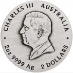 Колекційна срібна монета “Lunar IІІ – Рік Змії” Antiqued Finish 62,2 г 2025 рік - Зображення 2