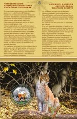 Колекційна монета “Чорнобиль. Відродження. Рись євразійська” - Зображення 4