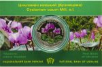 Колекційна монета “Цикламен коський (Кузнецова)”