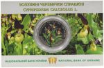 Колекційна монета “Зозулині черевички справжні”