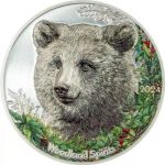 Коллекционная серебряная монета "Духи Леса - Бурый медведь" 31,1 г 2024 год
